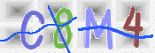 この文字を入力してください