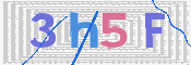 この文字を入力してください