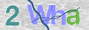 この文字を入力してください
