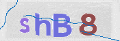 この文字を入力してください