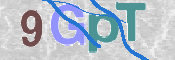 この文字を入力してください
