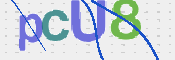 この文字を入力してください