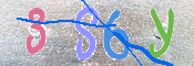 この文字を入力してください