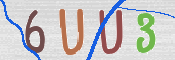 この文字を入力してください