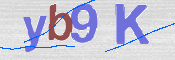 この文字を入力してください