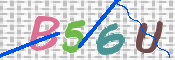 この文字を入力してください