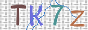 この文字を入力してください
