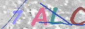 この文字を入力してください