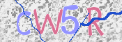 この文字を入力してください