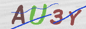 この文字を入力してください
