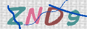 この文字を入力してください