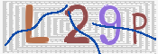 この文字を入力してください