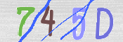 この文字を入力してください