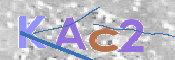 この文字を入力してください
