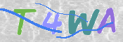 この文字を入力してください