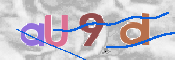 この文字を入力してください