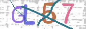 この文字を入力してください