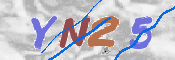 この文字を入力してください