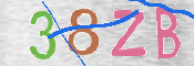 この文字を入力してください