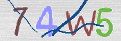 この文字を入力してください