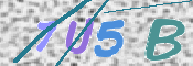 この文字を入力してください