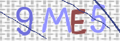 この文字を入力してください