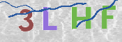 この文字を入力してください