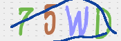 この文字を入力してください