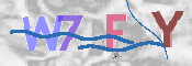 この文字を入力してください
