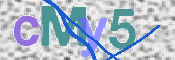 この文字を入力してください