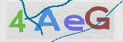 この文字を入力してください