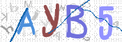 この文字を入力してください