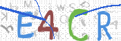 この文字を入力してください