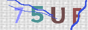 この文字を入力してください