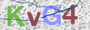 この文字を入力してください