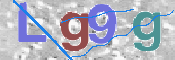この文字を入力してください