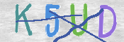 この文字を入力してください