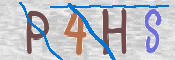 この文字を入力してください