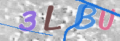 この文字を入力してください