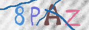この文字を入力してください