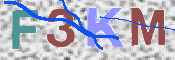 この文字を入力してください