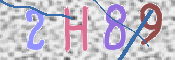 この文字を入力してください