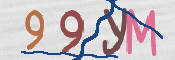 この文字を入力してください