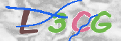 この文字を入力してください