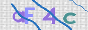 この文字を入力してください