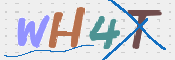 この文字を入力してください