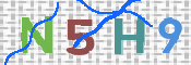 この文字を入力してください