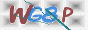この文字を入力してください
