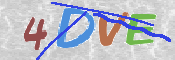 この文字を入力してください
