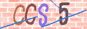 この文字を入力してください